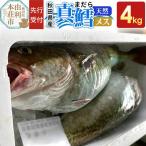 真鱈 4kg