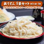 うどん 板うどん 5袋セット 200g×2