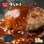 お肉屋さんの手ごね 1.4kg