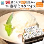濃厚ミルクアイス 四万十満喫フレーバー5種
