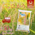 令和7年産 コシヒカリ 5kg×6ヶ月連続