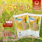 令和7年産 コシヒカリ 10kg×6ヶ月連続