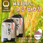 コシヒカリ 20kg