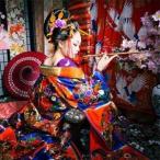本格古典風花魁体験 1名様分 _旅行券 チケット