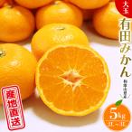 有田 みかん 5kg