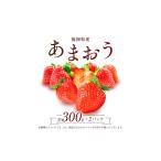 ふるさと納税 【赤村限定】 福岡県ブランドいちご“あまおう” 農家直送【300g×2パック】 ふるさと納税 あまおう ブランドいちご フルーツ 果.. 福岡県赤村