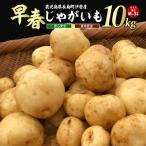 ホックホク甘さがある伊唐産早春じゃがいも 約10kg