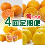 定期便 4回 4ヶ月 愛媛 みかん ポンカン 不知火