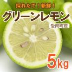 グリーン レモン 檸檬 5kg