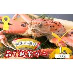 fu.... налог .. Echizen gani[ год конец доставка ] еда через уже становится подлинный. тест . обязательно,.. талант пожалуйста. примерно 800g и больше ×1 кубок Echizen .. Echizen краб Echizen краб .... Fukui префектура .. блок 