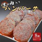 ハンバーグ 京の肉入り 8個