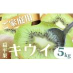 キウイフルーツ5kg+250g 傷み補償分