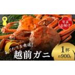 fu.... налог .. Echizen gani примерно 900g и больше 1 кубок год конец рассылка еда через уже становится подлинный. тест . обязательно,.. талант пожалуйста Echizen краб . краб краб bo дельфин ni Boyle ... Fukui префектура .. блок 