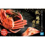 fu.... налог краб есть перевод .. Echizen gani примерно 600g~700g не достиг 1 кубок bo дельфин ni Boyle морепродукты год конец рассылка Fukui префектура .. блок 