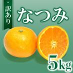 訳あり なつみ 柑橘 フルーツ 果物 くだもの