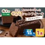 豆乳 生おからで作ったグルテンフリーのケーキおからショコ…