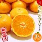 みかんの名産地 農家直送 大玉 有田みかん 10kg