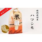 産ハツシモ10kg 2025 9 19~