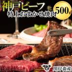 神戸牛 焼肉セット 500g