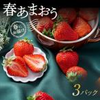 春にお届け 福岡産はるあまおう3パック_果物