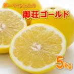 御荘ゴールド 河内晩柑 5kg