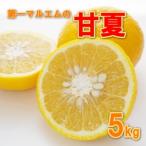 甘夏 5kg