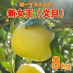 文旦 新女王 秀品 8kg