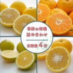 定期便 4回 季節 柑橘 みかん 詰め合わせ 第一マルエム