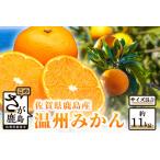 ふるさと納税 【先行予約】佐賀県鹿島産『温州みかん』約11kg【11月中旬から順次発送】ふるさと納税 みかん ミカン 果物 フルーツ 果実 蜜柑.. 佐賀県鹿島市