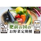 肥前の国のお野菜定期便 新鮮 採れたて 野菜