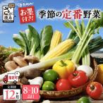肥前の国のお野菜定期便 新鮮 採れたて 野菜