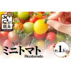 予定 カラフルミニトマト6種1kg ミニトマト