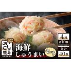 ふるさと納税 海鮮しゅうまいセット シュウマイ 竹崎かにしゅうまい いかしゅうまい えびしゅうまい 明太しゅうまい ふわふわしゅうまい 揚げし.. 佐賀県鹿島市
