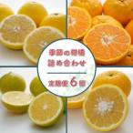定期便 6回 季節 柑橘 みかん 詰め合わせ 第一マルエム
