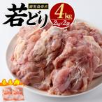 若どり ムネ肉 計4kg