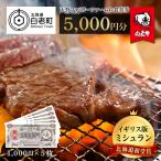 お食事券 天野ファミリーファーム 5000円分