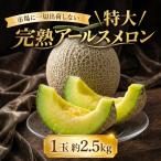 アールスメロン 1玉