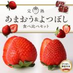 池田農園の完熟あまおう&完熟よつぼし食べ比べセット