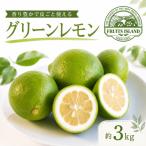 レモン 約 3kg