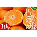 ふるさと納税 【訳あり】みかん 有田みかん 約10kg ご家庭用 サイズ混合 農家直送 ※2025年11月中旬より順次発送予定(お届け日指定不可)※北.. 和歌山県北山村