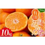ふるさと納税 【訳あり】農家直送 有田みかん 約10kg ご家庭用 サイズ混合 ※2025年11月中旬より順次発送予定(お届け日指定不可)※北海道・.. 和歌山県新宮市