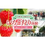ふるさと納税 いちご狩り体験 2名様 食べ放題40分 練乳付き いちご大福コース 【現地体験型】 利用券 チケット 観光 旅行 イチゴ 苺 F4H-0032 群馬県渋川市