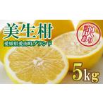 ふるさと納税 先行予約 訳あり 美生柑 みしょうかん 約 5kg  河内晩柑 河内晩柑 河内晩柑 河内晩柑 河内晩柑 河内晩柑 愛媛県 愛南町 愛媛県愛南町
