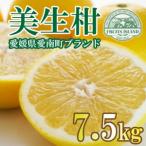 美生柑 みしょうかん 約 7.5kg