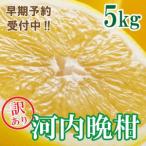 ふるさと納税 【先行予約 2026年6月ごろ発送開始】訳あり 河内晩柑 ばんかん 約 5kg 不揃い 大小ミックス 傷あり 柑橘 かんきつ フルーツ 果物 .. 愛媛県愛南町