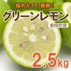 グリーン レモン 檸檬 2.5kg