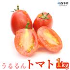 甘くて濃厚な味わい うるるんトマト 1kg