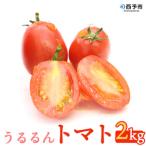 甘くて濃厚な味わい うるるんトマト 2kg