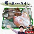 橋立やまいち 旬の魚の一夜干し詰合わせ