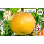 ふるさと納税 梨 朝どれ 和梨 秀品 4kg 以上 配送先は本州限定 2025年9月上旬頃から2025年10月上旬頃まで順次発送予定 窪田農園 令和7年度収穫分.. 長野県飯綱町
